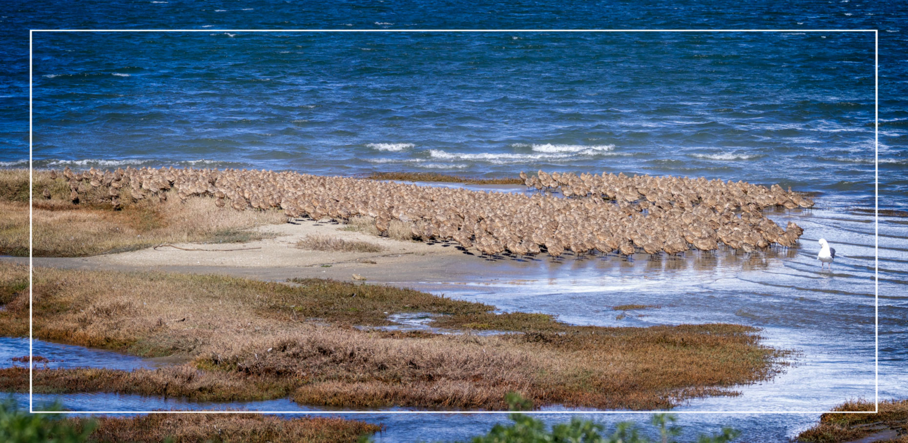 Elevation of Bodega Bay, CA, USA - Topographic Map - Altitude Map Weather in bodega bay